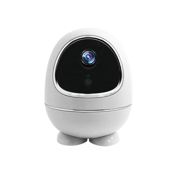 W5 Wifi Battery PT Dome Camera Ip65 HD Night Vision Waterproof PIR Detect Surveillance Outdoor Rotating Camera